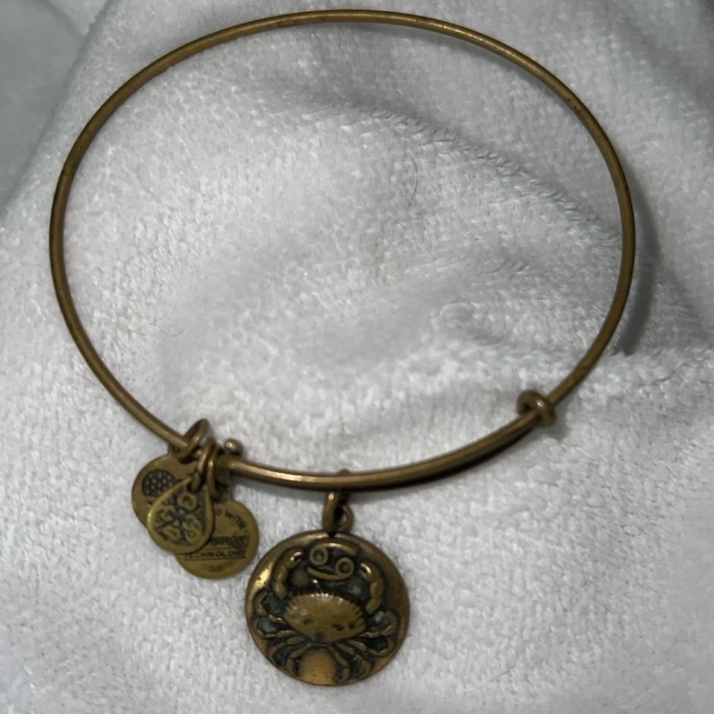 Alex and Ani Cancer Bangle Bracelet 2017